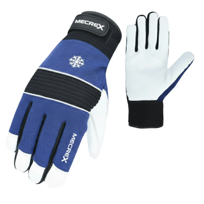 Winter Gloves