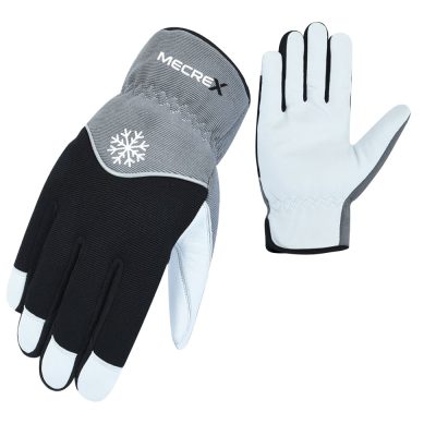 Winter Gloves