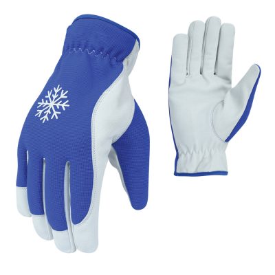 Winter Gloves