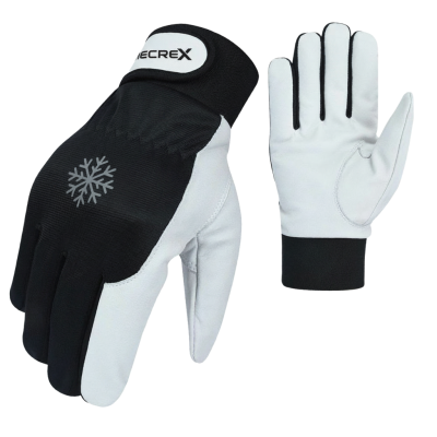 Winter Gloves