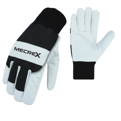 Winter Gloves