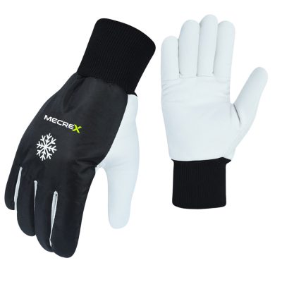 Winter Gloves