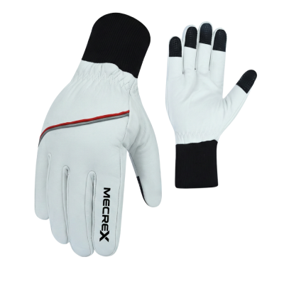 Winter Gloves