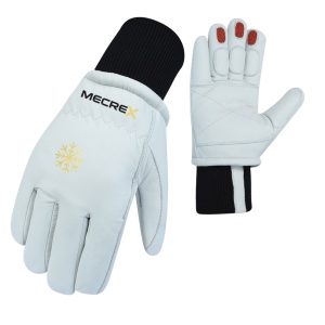 Winter Gloves