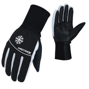 Winter Gloves