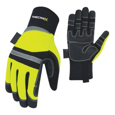 Winter Gloves