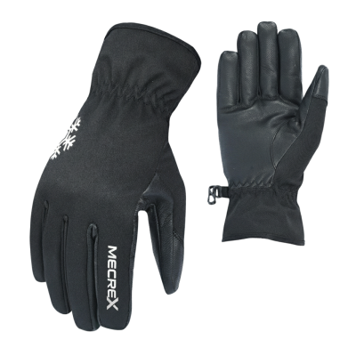 Winter Gloves
